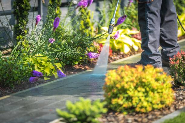 Professional  Pressure Washing Services in Harrisville, UT